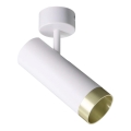 Spotlight FADO 1xGU10/10W/230V white