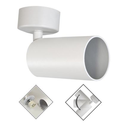 Spotlight FARGO 1xGU10/30W/230V white