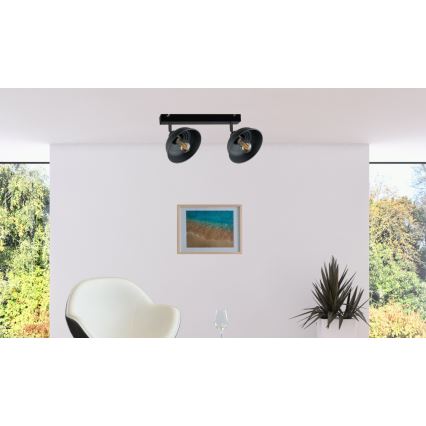 Spotlight FAUN 2xE27/60W/230V black