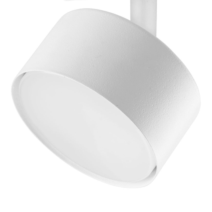Spotlight for 1-phase rail system AVIA 1xGX53/15W/230V white