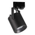 Spotlight for rail system MINOR 1xGU10/10W/230V black