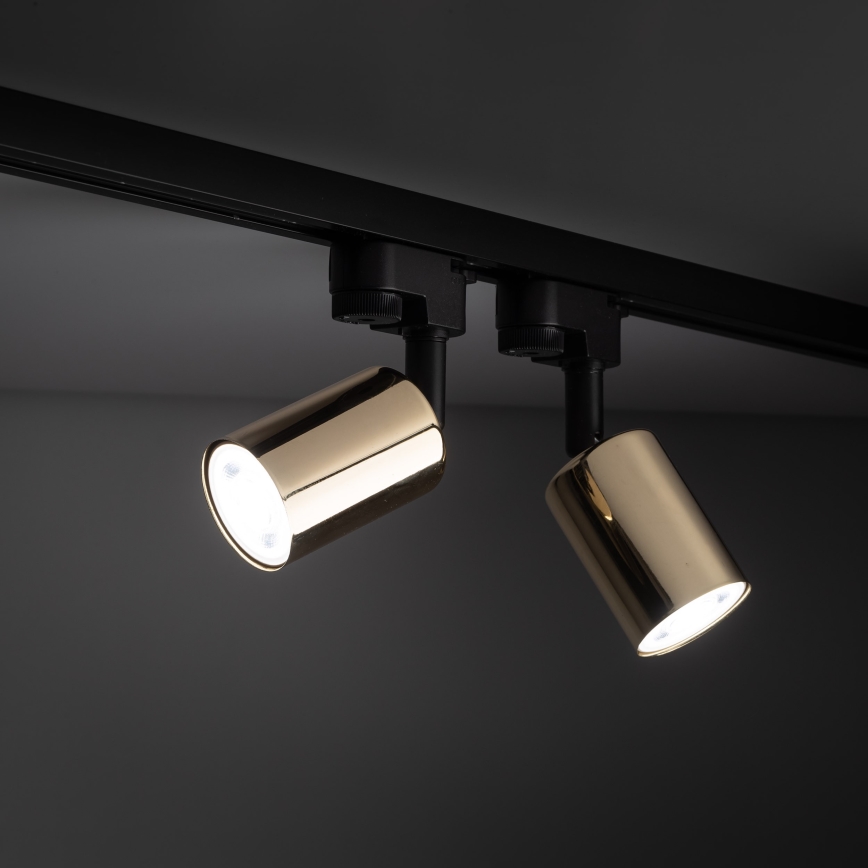 Spotlight for rail system TOP 1xGU10/10W/230V gold/black