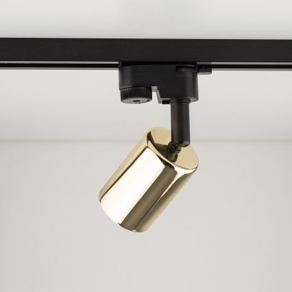 Spotlight for rail system TOP 1xGU10/10W/230V gold/black