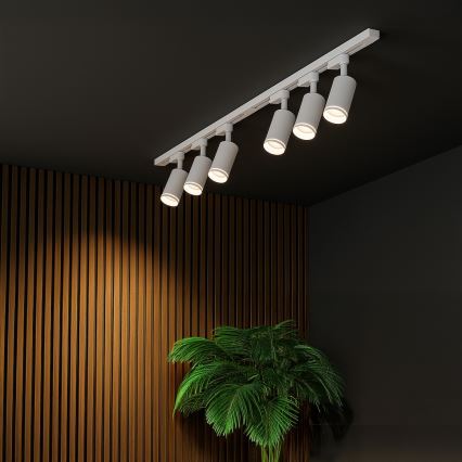 Spotlight for the PIPE track system 6xGU10/10W/230V white