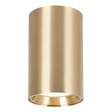 Spotlight GENESIS 1xGU10/8W/230V 10 cm gold