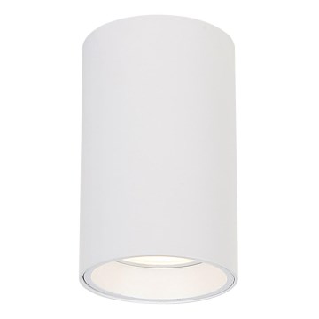Spotlight GENESIS 1xGU10/8W/230V 10 cm white