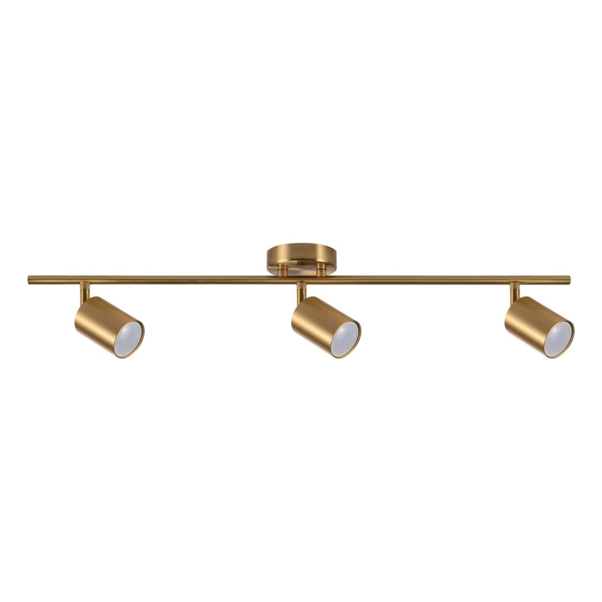 Spotlight GOLDI 3xGU10/10W/230V gold