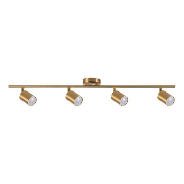 Spotlight GOLDI 4xGU10/10W/230V gold