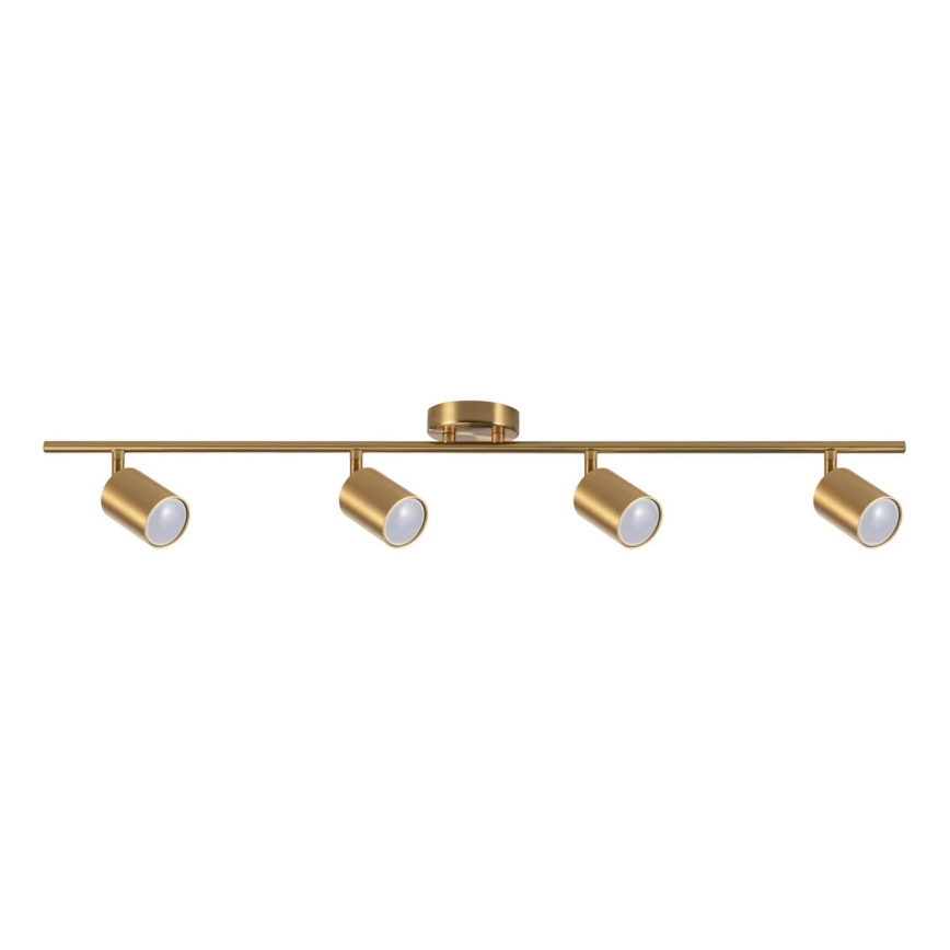 Spotlight GOLDI 4xGU10/10W/230V gold