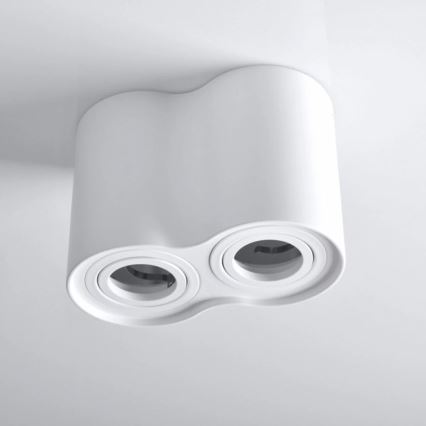 Spotlight HADAR 2xGU10/10W/230V white