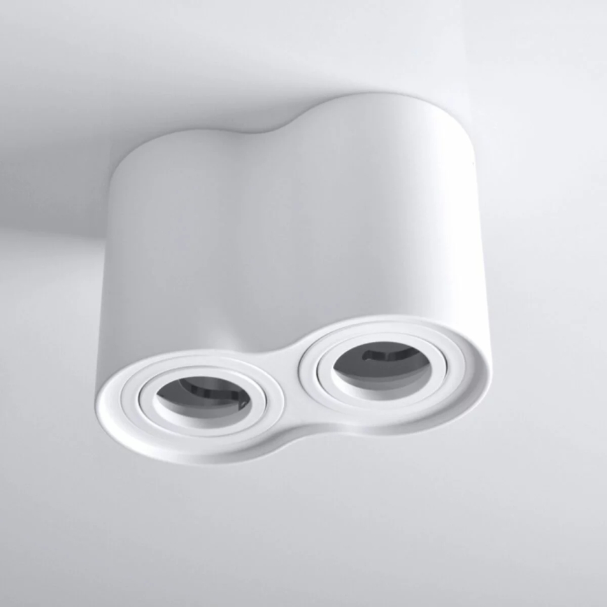 Spotlight HADAR 2xGU10/10W/230V white