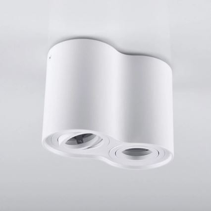 Spotlight HADAR 2xGU10/10W/230V white