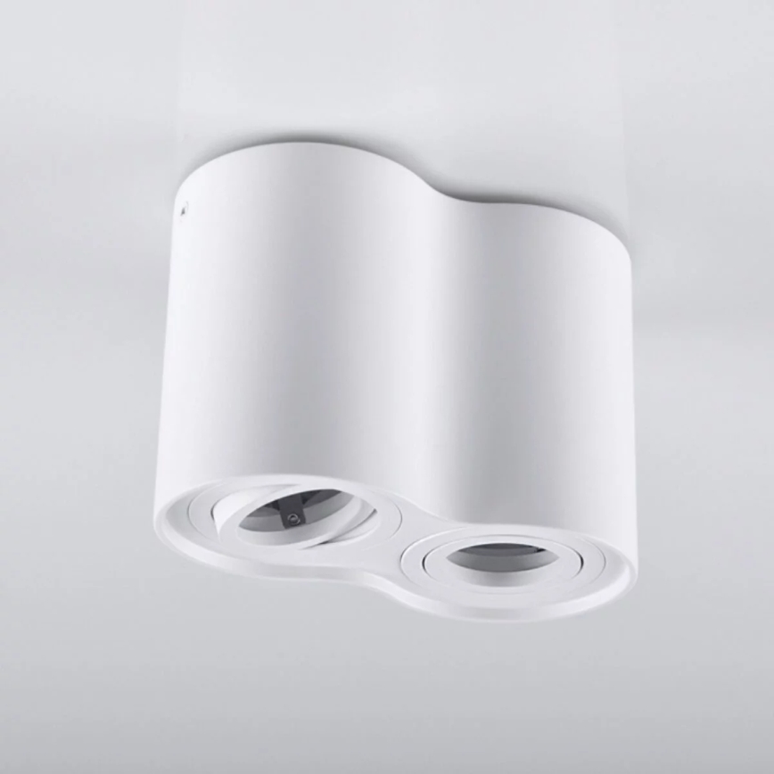 Spotlight HADAR 2xGU10/10W/230V white
