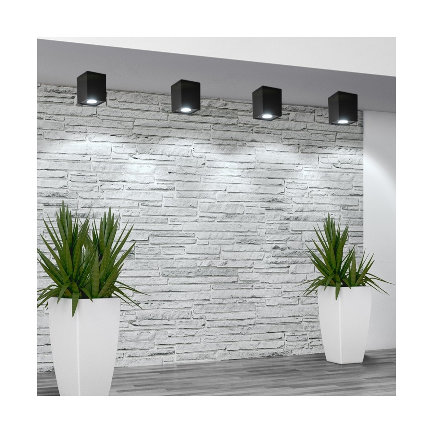 Spotlight HADAR Q1 1xGU10/10W/230V black