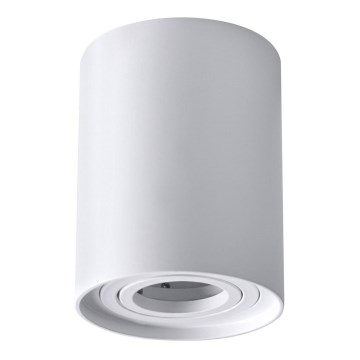 Spotlight HADAR R1 1xGU10/10W/230V white