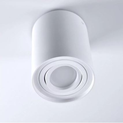 Spotlight HADAR R1 1xGU10/10W/230V white