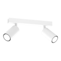Spotlight HUDSON 2xGU10/8W/230V white