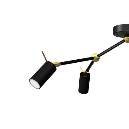 Spotlight IRIS 3xGU10/MR11/40W/230V black/gold