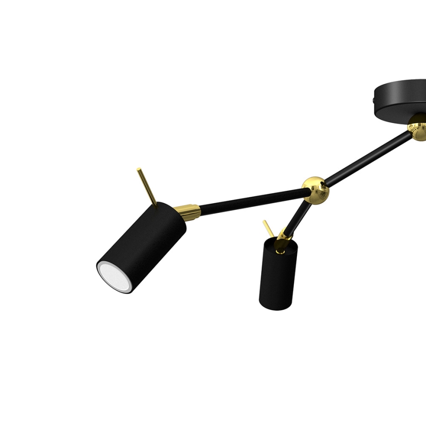 Spotlight IRIS 3xGU10/MR11/40W/230V black/gold