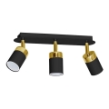 Spotlight JOKER 3xGU10/25W/230V black/gold
