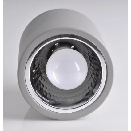 Spotlight JUPITER 1xE27/20W/230V d. 13 cm grey