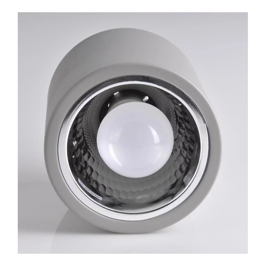 Spotlight JUPITER 1xE27/20W/230V d. 13 cm grey
