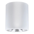 Spotlight JUPITER 1xE27/20W/230V d. 13 cm white