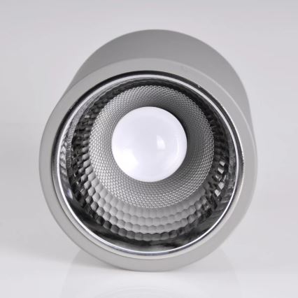 Spotlight JUPITER 1xE27/20W/230V d. 16,5 cm grey