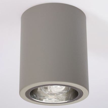 Spotlight JUPITER 1xE27/20W/230V d. 9,8 cm grey