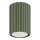 Spotlight KARBON 1xGU10/10W/230V 10 cm green
