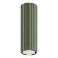 Spotlight KARBON 1xGU10/10W/230V 20 cm green