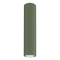 Spotlight KARBON 1xGU10/10W/230V 30 cm green