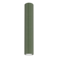 Spotlight KARBON 1xGU10/10W/230V 40 cm green