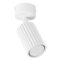 Spotlight KARBON 1xGU10/10W/230V white