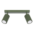 Spotlight KARBON 2xGU10/10W/230V green
