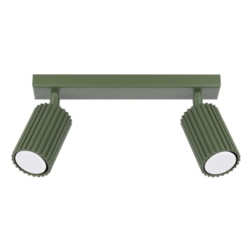 Spotlight KARBON 2xGU10/10W/230V green