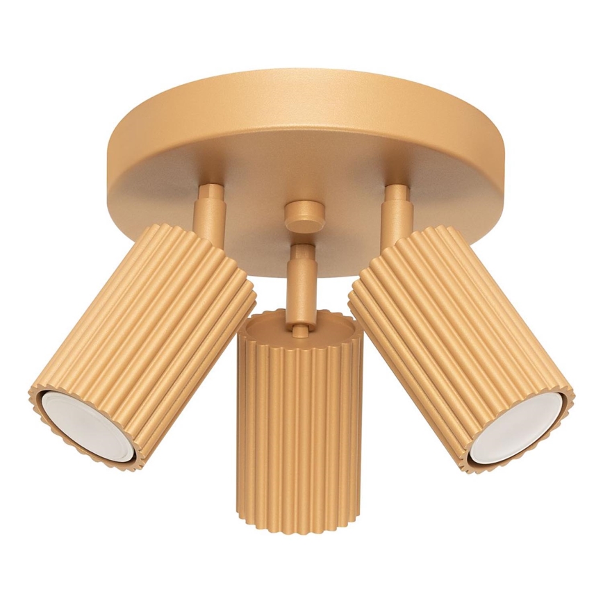 Spotlight KARBON 3xGU10/10W/230V gold