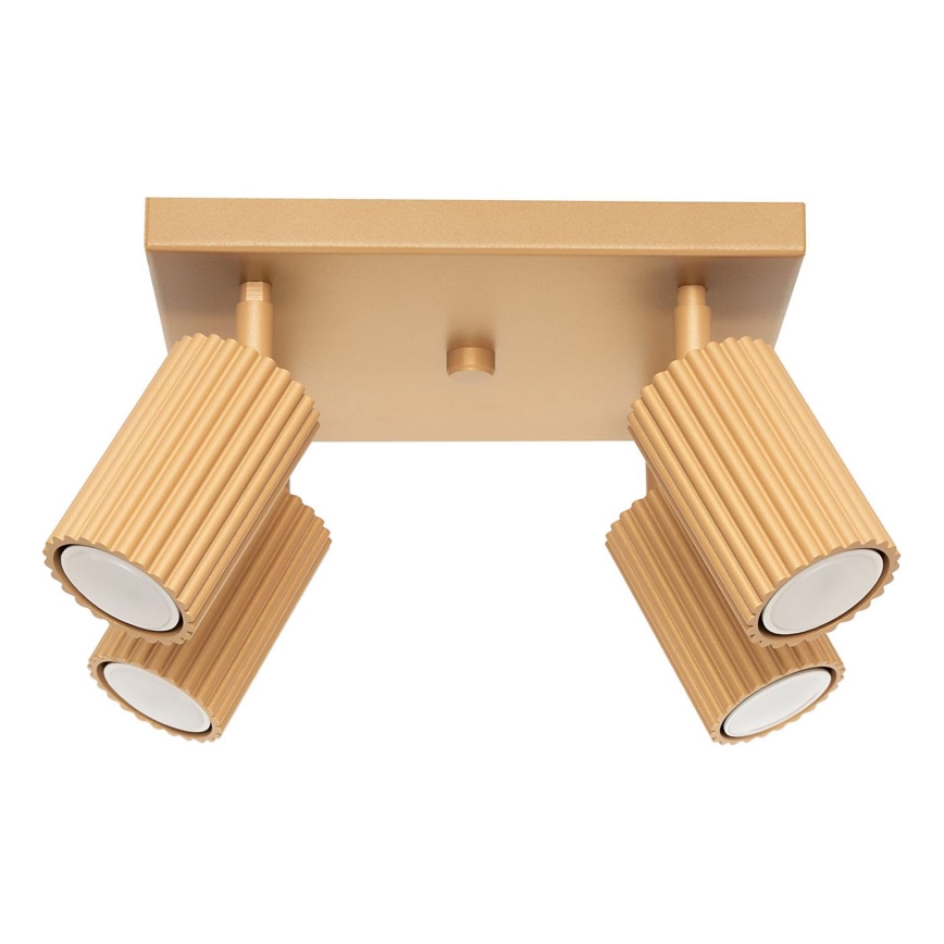 Spotlight KARBON 4xGU10/10W/230V gold