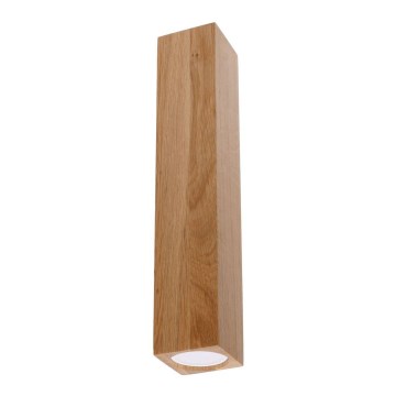 Spotlight KEKE 1xGU10/40W/230V 30 cm oak