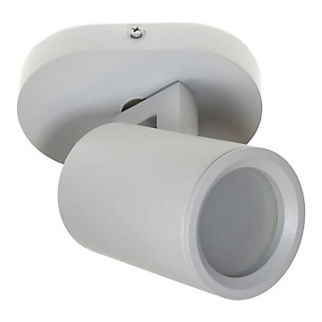 Spotlight KINIA 1xGU10/30W/230V white