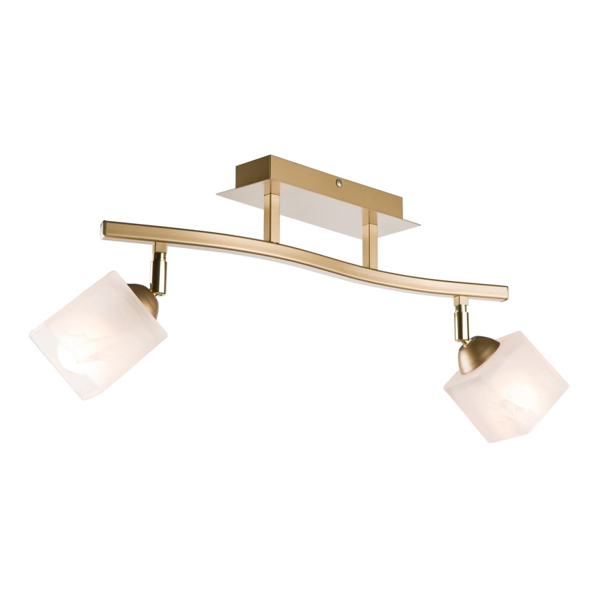 Spotlight KLARA 2xE14/40W/230V gold