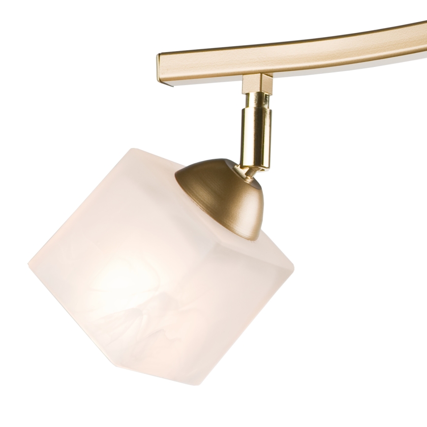 Spotlight KLARA 2xE14/40W/230V gold