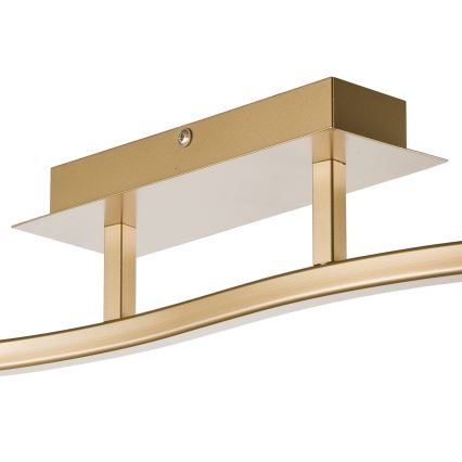 Spotlight KLARA 2xE14/40W/230V gold