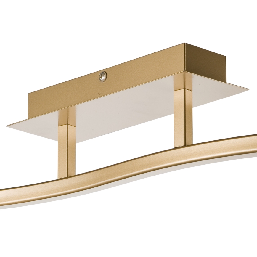 Spotlight KLARA 2xE14/40W/230V gold
