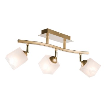 Spotlight KLARA 3xE14/40W/230V gold