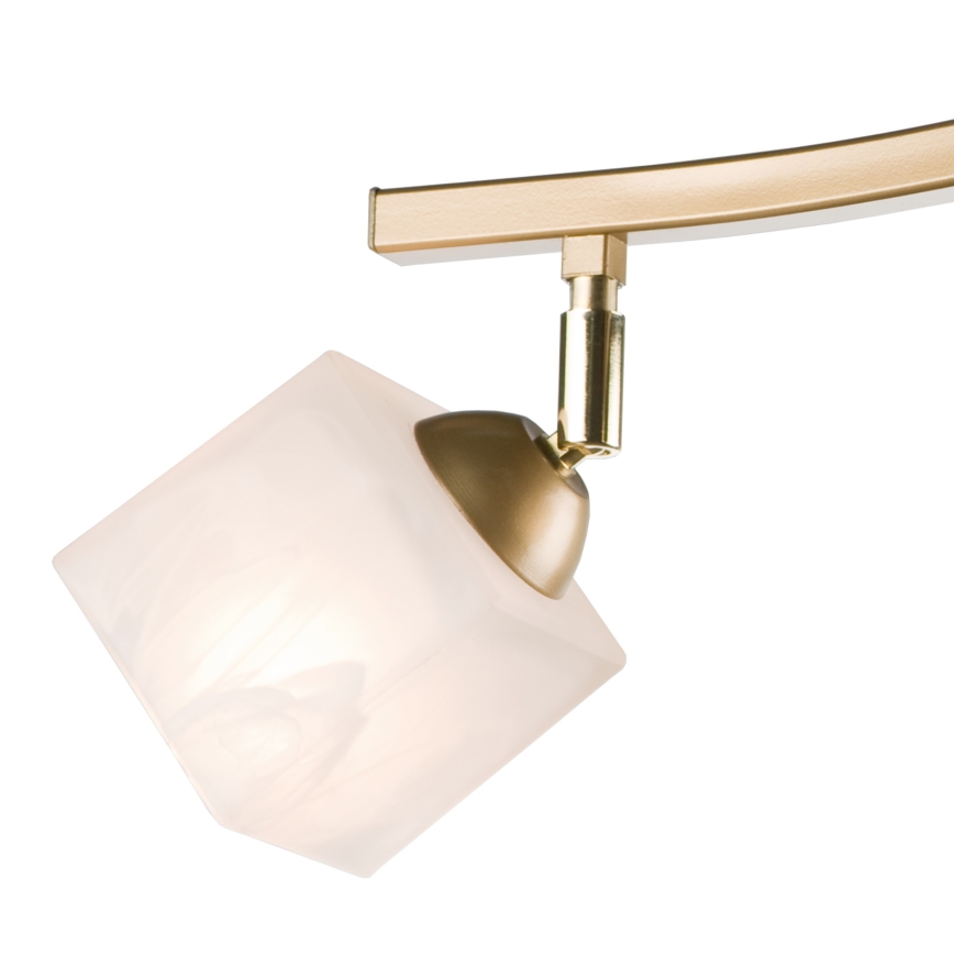 Spotlight KLARA 3xE14/40W/230V gold