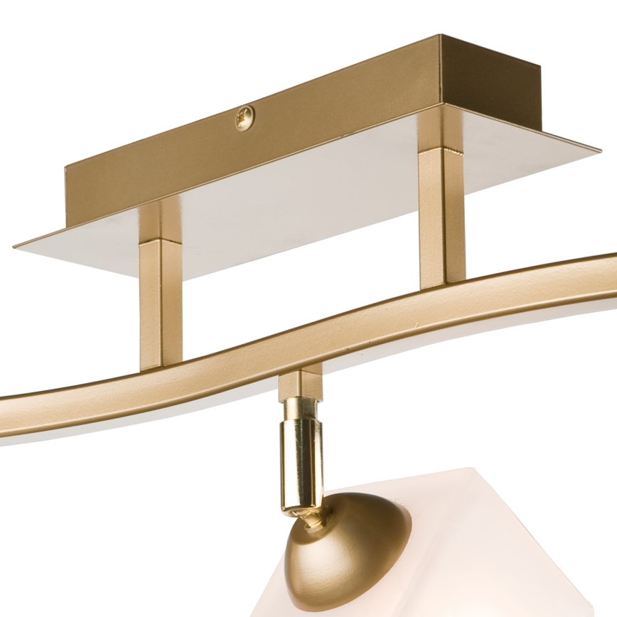 Spotlight KLARA 3xE14/40W/230V gold