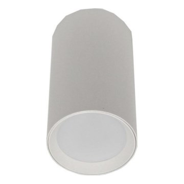 Spotlight KROSO 1xGU10/30W/230V white