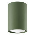 Spotlight LAGOS 1xGU10/10W/230V 10 cm green
