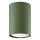 Spotlight LAGOS 1xGU10/10W/230V 10 cm green